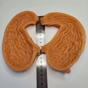 KyrenMed 3D modèle d'anastomose gastrique humaine modèle d'entraînement de l'estomac bivalve silicone grandeur nature pour la pratique de la chirurgie générale - Product Image 6