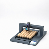 Machine d'impression d'œufs à grande vitesse avec encre comestible XP600, contrôle entièrement automatique par écran tactile, codeur jet d'encre, équipement de marquage d'œufs, garantie 1 an