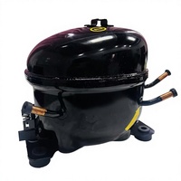 Compresseur de réfrigérateur/congélateur marin 1/4 1/5 CV R404a R600a 110/120 V du fabricant
