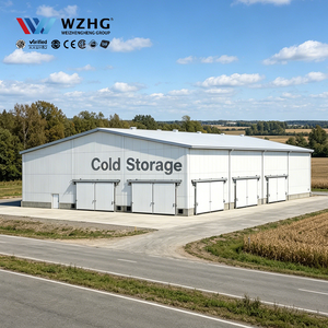 Solución de Ingeniería de Estructura de Acero Q355b de Alta Resistencia para Instalaciones de Almacenamiento Refrigerado, Empresa de Logística de Múltiples Pisos - Product Image 1