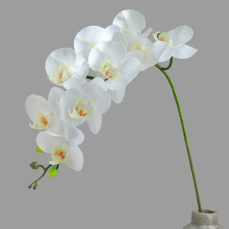 Blanc Rouge Papillon Orchidée Usine en gros Vraie touche mite orchidée de haute qualité Plusieurs Couleurs fleur artificielle mariage