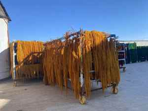 5 Piezas de Amaranto Caudatus Seco Real, <span class=keywords><strong>Blanco</strong></span> y Rojo, para Colgar, Planta Preservada a Granel, Decoración para Arreglos Florales de Halloween y Bodas - Product Image 5
