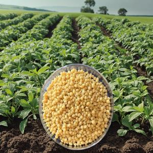 Widely Used 18-46-0 Dap <b>Fertilizer</b> Granular Diammonium <b>Phosphate</b> for Agriculture Rock <b>Phosphate</b> P2O5 - Product Image 4