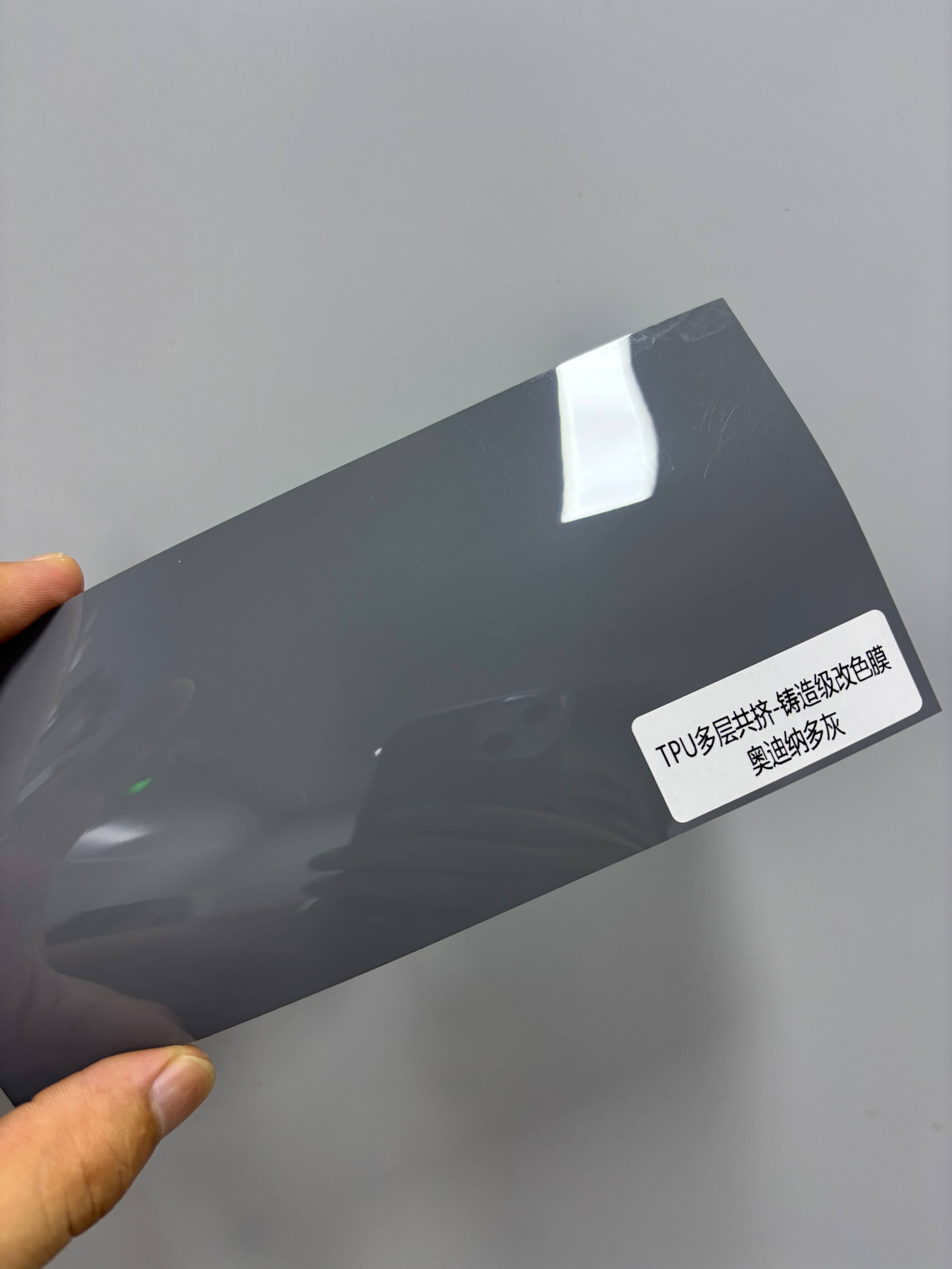 D007 TPU Audi Nardo Gris
