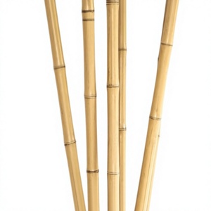 Poteau en bambou naturel de qualité supérieure, piquet en bambou pour le soutien des plantes de jardin, l'agriculture, la construction, le matériel artisanal, vente en gros au Vietnam - Product Image 1