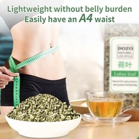 Thé aux herbes chinoises, herbe naturelle utilisée pour perdre du poids, thé minceur, pas un produit à base d'herbes, mais du thé au lotus