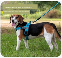 Arnés Personalizado para Perro Veltrio, Ajustable, Antideslizante, Tipo Bandeau, Triangular, Reflectante, con Parche de Nombre Personalizado