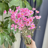 Natürlich Getrocknete Handgemachte Rodanthe-Chrysanthemen Trockenblumen-Arrangement für Abschlussfeier Weihnachten Chinesisches Neujahr Heimdekoration