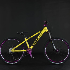 Bicicleta de Montaña Freestyle de 26 Pulgadas y 24 Pulgadas con Geometría Agresiva para Saltos - Product Image 2
