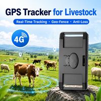 Traceur GPS portable 10000 mAh pour bétail, historique de navigation pour moutons avec suivi en temps réel 4G LBS, étanche IP67, compatible PC