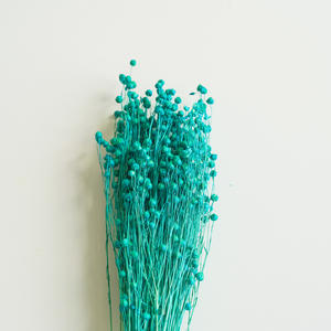 Tiges de haricot séchées pour bouquet de mariée, centre de table, garniture de vase, décoration intérieure, fournitures pour fleuristes et cadeaux de mariage - Product Image 6