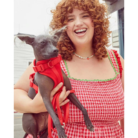 Ensemble de laisse et de harnais pour animaux de compagnie personnalisé avec logo personnalisé, luxe, réglable, kit pour chiot en néoprène, rembourrage en polyester/nylon/néoprène