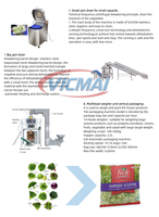 Vicmai Automatische Vriesgroente- en Fruitverwerkingslijn met Motor Aangedreven Aardappel Snij- en Wasmachine Snelvriezer