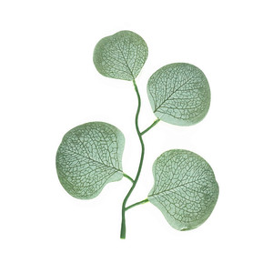 Tige d'eucalyptus artificielle, 10cm-30cm, feuille en soie, décoration pour la mise en table, accessoires de photographie de mariage - Product Image 2