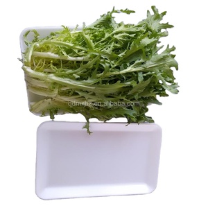 Dùng Một Lần <span class=keywords><strong>Polystyrene</strong></span> Thực Phẩm Bọt Khay Để Bán, 2016 Tùy Chỉnh Các Loại Khác Nhau Cấp Thực Phẩm Bao Bì - Product Image 1