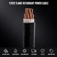 Cable Eléctrico de Alta Tensión de Cobre de un Solo Núcleo 1/0 2/0 3/0 4/0 THHN THWN XHHW THW 750mcm XLPE PVC 16A 30A para Estación de Energía IP54