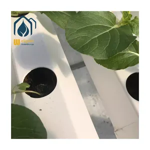 Сельскохозяйственный гидропонный канал NFT для коммерческого производства гидропонного томатного салата