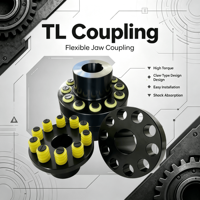Accouplement rigide en acier SFS avec boulon TL, couple élevé, excellente performance élastique, personnalisation OEM, non standard, garantie 1 an