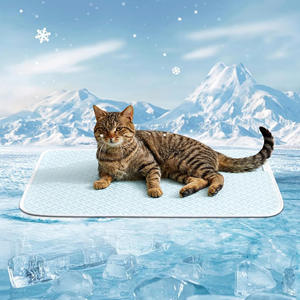 Alfombrilla de hielo personalizada para mascotas de verano, artefacto de refrigeración para gatos, perros, prevención de golpes de calor, alfombrilla para dormir, alfombrilla profesional para perros y gatos - Product Image 2