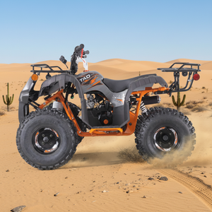 Tao Motor Automatic 12V 5AH Motor ATV 110 Customized All-terrain Four-wheel Beach Buggy Double Four-wheeler Adult Quad