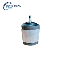 Pièces détachées pour moteur diesel Pompe à engrenages Pompe hydraulique pour Deutz 2012 1013 2013