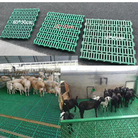 Nouveau modèle Super fort plancher de latte de chèvre porteur plancher de latte de chèvre en plastique pour ferme d'élevage de chèvre mouton