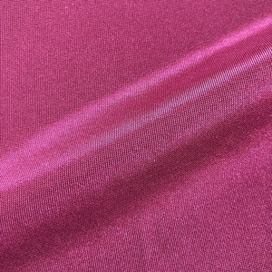 Tela Elástica en 4 Direcciones, Anti-Pilling, de Nylon <span class=keywords><strong>y</strong></span> Spandex, Tejido de Punto Brillante, Hecho en China, para Brasieres, Ropa Interior <span class=keywords><strong>y</strong></span> Trajes de Baño - Product Image 3