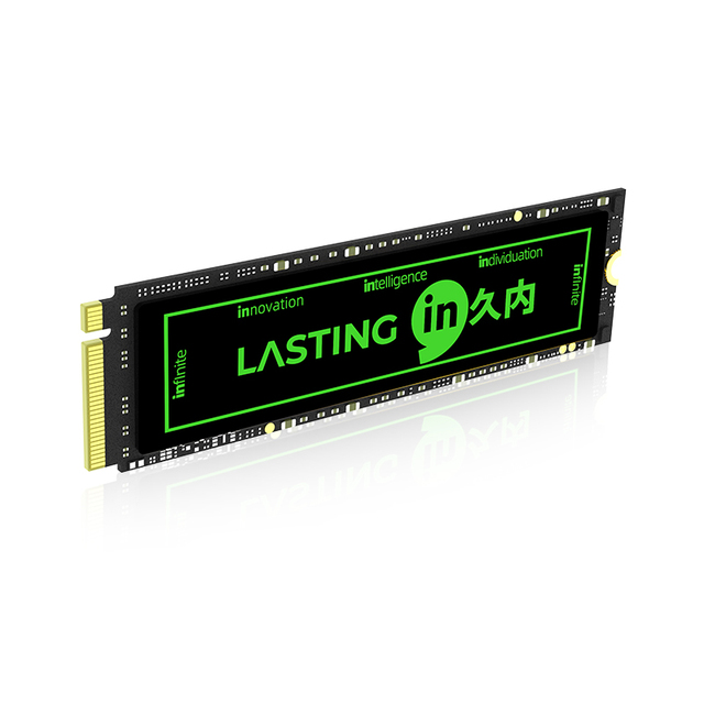 LASTINGIN High Speed PCIe Gen 4 PS5 M2 2280 SSD Gaming Xmp Heatsink 512GB 1TB 2TB 4TB Nvme M.2 Ssd
