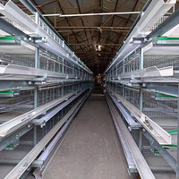 Cage à poules pondeuses entièrement automatique à structure en cascade avec nettoyage du fumier et collecte des œufs ; Petites cages à poules pondeuses en cascade de type H (3/4 niveaux)