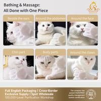 Gants de toilettage pour animaux de compagnie jetables en gros EUR PET, gants de nettoyage écologiques, gants de nettoyage pour animaux de compagnie