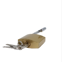 Verrou de cadenas en laiton peint, 10 pièces, 20mm-75mm, vente directe depuis l'usine