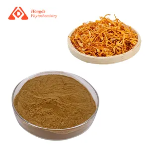 ผงสารสกัดจากไมซีเลียม0.3% สารสกัดจาก Cordycepin Cordyceps militaris พร้อมบริการ OEM