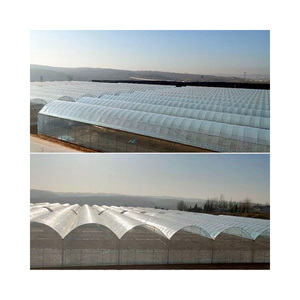 Serra in pellicola di plastica Multi-span su larga scala <span class=keywords><strong>per</strong></span> piante da fiore senza ombreggiatura - Product Image 5