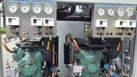   Pompe de lyophilisation sous vide électrique Philizer 380V/480V 88KW en acier SUS304 pour la transformation alimentaire, avec moteur PLC (huile/électrique)