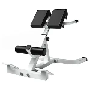 Wellshow运动罗马椅背部延伸长凳可调健身锻炼多功能Ab长凳腹部锻炼
