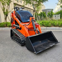 Chargeuse compacte sur chenilles de fabrication chinoise, Euro 5 CE EPA, puissance diesel élevée, nouvelle chargeuse compacte pour vergers