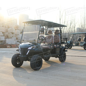 Buggy Utilitaire Électrique 6 Passagers Homologué pour la Route avec Suspension Indépendante, Voiturette de Golf Touristique - Product Image 3