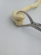 Thú Y chỉnh hình dụng cụ phẫu thuật sản phẩm chất lượng cao bệnh viện thiết bị động vật giảm kẹp giới hạn - Product Image 5