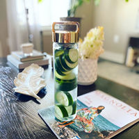 Bouteille d'Eau en Verre Réutilisable de 710 ml avec Infuseur à Fruits et à Thé pour Détox