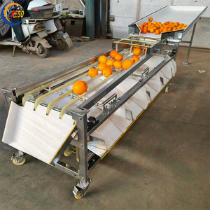 Macchina ottica per cerare le patate che smistano le smistano le patate - Product Image 1