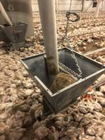 Trémie d'alimentation automatique grande capacité en acier revêtu aluminium-zinc pour système d'alimentation de poulets de chair et d'élevage avicole