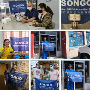 Сонго DC24V DN80 3-дюймовый фланцевый чугунный водяной электромагнитный клапан - Product Image 2