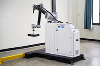 Box Robot lengan Palletizer palet kerja sama mesin palletisasi Robot harga