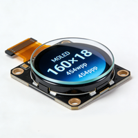 Modul Layar LCD TFT Bulat 1,3 Inci Kustom 160x160 dengan Kecerahan 450 Nits untuk Desain Fashion Jam Tangan Pintar
