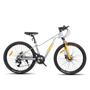 22/20 inç yeni tasarım magnezyum alaşımlı çin tedarikçisi güzel kız 'çocuk bisikleti fiyat çocuk bisikleti/çocuk bisikleti