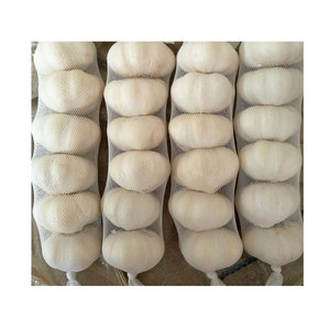 Aglio fresco 2025 nuovo raccolto 4.5 - 6Cm aglio bianco puro/aglio <span class=keywords><strong>in</strong></span> <span class=keywords><strong>polvere</strong></span>/olio/estratto/fornitura a basso prezzo nei paesi bassi - Product Image 2