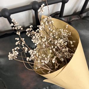 Venta Caliente de Frutos <span class=keywords><strong>Secos</strong></span> Naturales Preservados del Árbol de Sebo, Planta Decorativa, Ramo de Flores, Excoecaria Sebifera, Día de San Valentín - Product Image 4