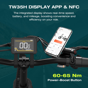 Bicicleta Eléctrica X12 en Stock en la UE, Bicicleta Eléctrica de Montaña de Alta Velocidad con Motor sin Escobillas, Transmisión IP54 Resistente al Agua para Ciclismo al Aire Libre - Product Image 3