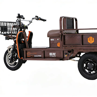 Tricycle électrique à 3 roues JULONG JN6 1000W, charge lourde, 45 km/h, batterie au plomb-acide 72v, chargeur, utilisation familiale, chariot rétractable