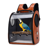 Sac de transport transparent multi-couleurs de haute qualité, nouveau style, grande capacité, sac à dos pour chat type capsule spatiale, tendance pour oiseaux